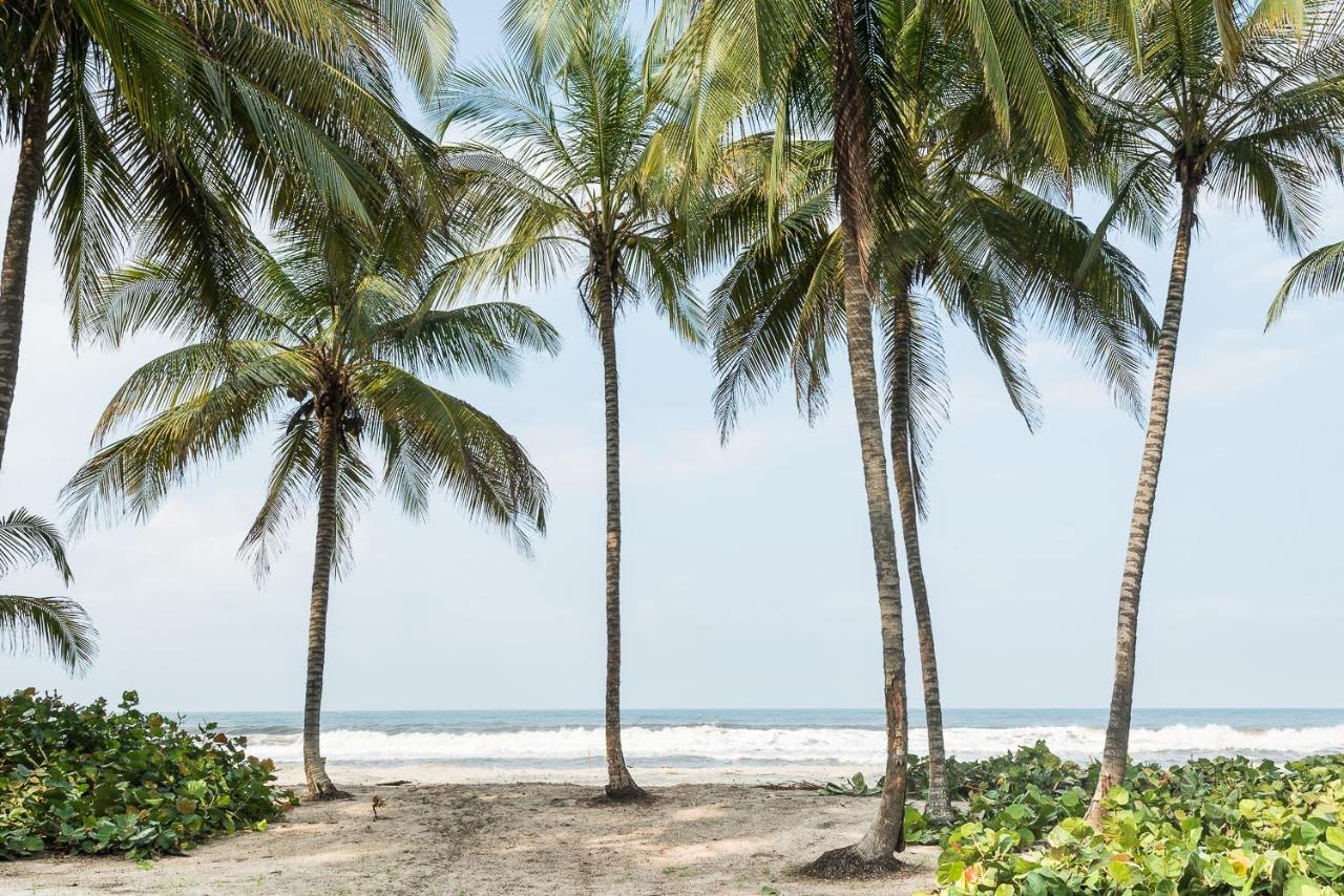 Tayrona Tented Lodge Гуачака Экстерьер фото