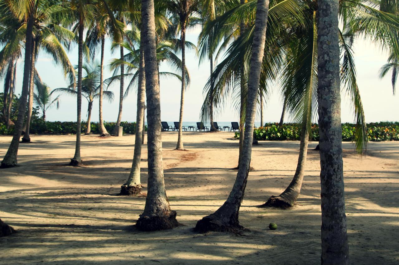 Tayrona Tented Lodge Гуачака Экстерьер фото